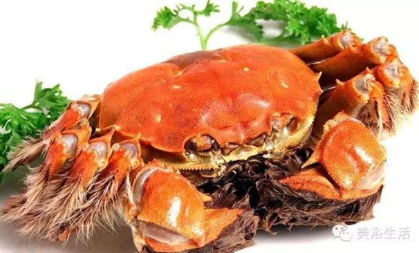 ԡÂĴlззSʳзȯзë